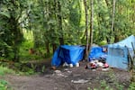 Two tents in a wooded area.