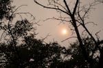 Smoke from wildfires blankets the area around Warm Springs, Ore., on July 30, 2026.