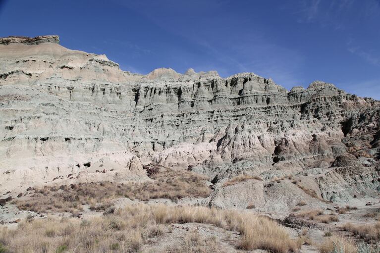 Blue Basin, originally named Turtle Cove by Thomas Cordon, contains fossils as old as 50 million years old.