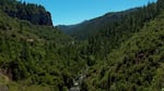 The Salmon River and its tributaries flow through isolated mountain valleys, meaning safety is at the forefront during the dive.