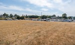 The the open field next to the Ridgefield National Wildlife Refuge, the site of what could become six three-story residential buildings.