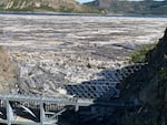 Thousands of logs were washed into Spirit Lake after the eruption of Mount St. Helens and have stayed there for 44 years.