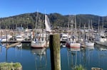 Boats moored at the docks in Garibaldi, Ore. on April, 29, 2026.