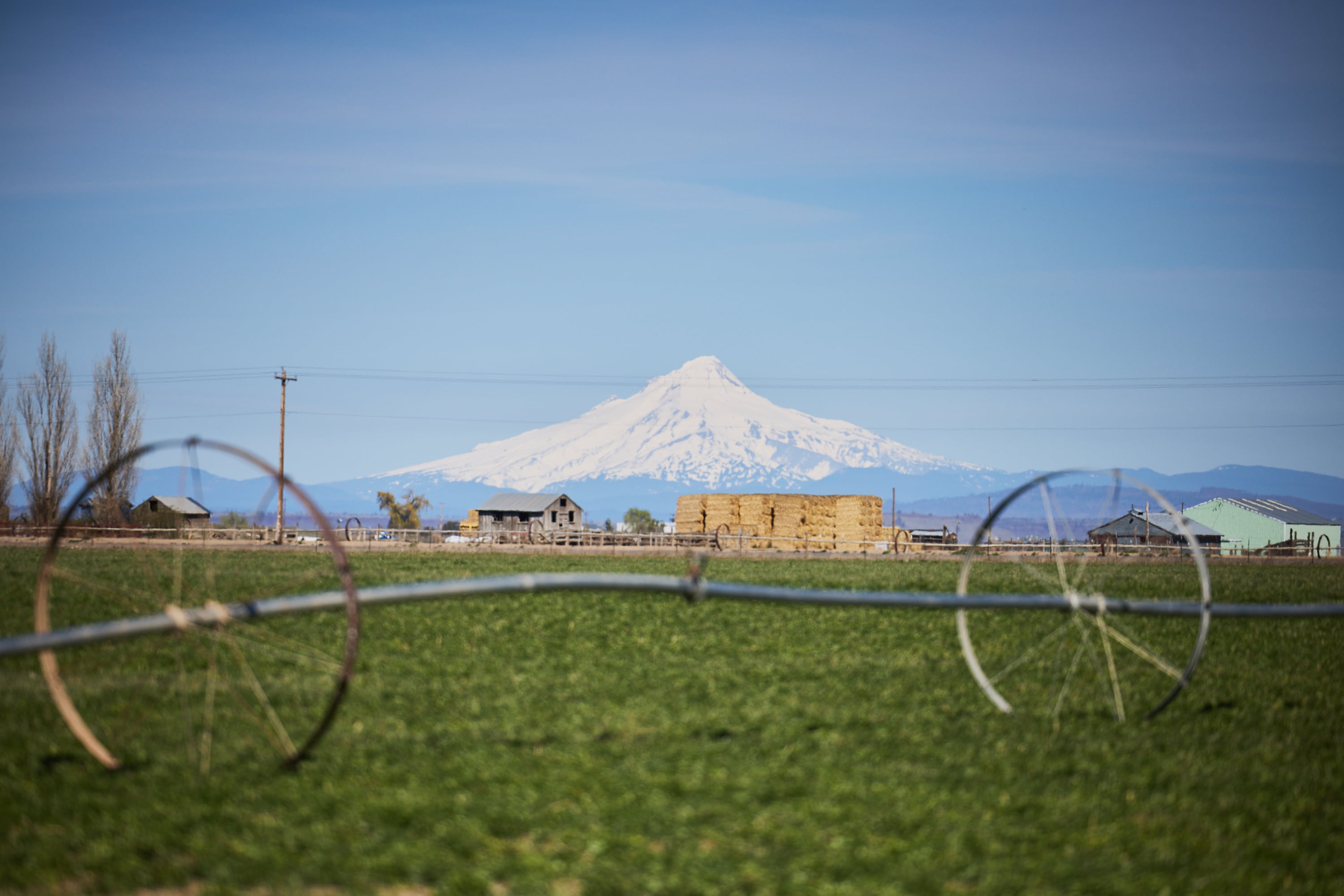 The peaks of the Cascade Range are visible in the distance from Casad Family Farms. The mountain range forms a wall dividing wet, coastal Oregon from semi-arid high desert.