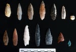 Stone projectile points discovered buried inside and outside of pit features at the Cooper’s Ferry site.