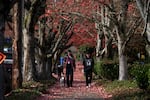 Two people walk through tree lined, leaf covered streets in Southwest Portland on Novermber 8, 2019.