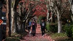 Two people walk through tree lined, leaf covered streets in Southwest Portland on Novermber 8, 2019.