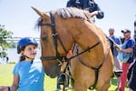 An equestrian officer makes a friend.