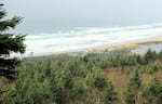 The Grimm land and Stimson land that Cape Meares residents hope the wildlife refuge will purchase on Nov. 13, 2024.