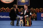 NBC's Mary Carillo (left) talks to Perry Payson, handler of Winston the French bulldog, the 2022 National Dog Show Best In Show Winner.