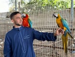 Ahmad Jumaa, Fathi Jumaa's son, holds parrots from their zoo in Rafah. 