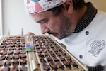 Julien Simonis, Programme Manager for Cacao of Excellence, smells and meticulously inspects halved cocoa beans during a physical quality evaluation at the laboratory in Perugia. This sensory and visual assessment allows for the immediate verification of fermentation levels and the identification of aromatic potential or internal defects in the samples