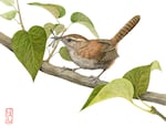 Hiroko Cannon, "Bewick’s Wren in Lilac Tree," 2005, Watercolor on paper, 10” x 5”