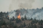 A stand of juniper trees torches at the head of the Rowe Creek Complex Fire near Mitchell, Ore., on Tuesday, July 21, 2026.