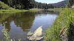 Algae in the Sprague river. Low water levels in the Sprague, Williams, and Wood rivers triggered irrigation shutoffs last summer. An agreement by  the area's ranching and tribal communities could lead to enactment of a plan to help solve water conflicts.