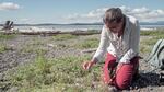 Amy Lambert, a conservation biologist at the University of Washington, has been studying the island marble for the past 15 years.