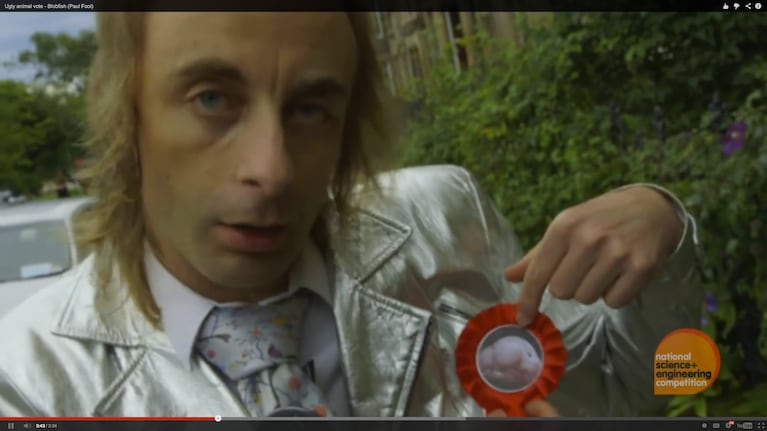 Screenshot from a video of British comedian Paul Foot endorsing the blobfish as mascot of the Ugly Animal Preservation Society.