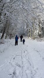 First day of the year hike at L. L. Stub Stewart State Park.