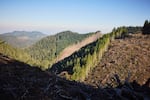 On Dead Horse Ridge, in a part of Oregon’s Coast Range known as Blue and Gold, clear-cut private lands meet forested public lands. Soon, much of this whole area could be logged.