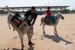 At the annual Donkey Festival in San Antero, the pack animals take part in races, a rodeo and a beauty pageant.