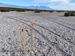 Stakes mark a mining claim in the Alvord Desert near Fields, Ore. Reedy Lagoon Corporation of Australia was targeting lithium brines associated with geothermal hot springs before their claims were invalidated.