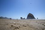 A strip of cellophane sticks out from the sand on Cannon Beach.