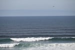 A U.S. Coast Guard helicopter searches the ocean just west of downtown Newport for a twin-engine plane that crashed into the water about 12:45 p.m. Monday.