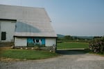 A black-and-white cow is painted on the side of a large white barn at Stamy Farms.