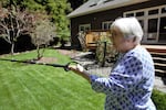 Jean Turner, an 83-year-old gardener, awaits the spring bloom in her Seal Rock, Ore., garden April 26, 2023.