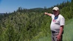 Greg Whipple was the first person in the forest service to notice the fungus. In 1988 he estimated it covered 400 acres.