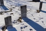 Numerous gravestones from the 1800s within the New Ulm City Cemetery read "Killed by Indians."