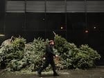A person passes a pile of discarded Christmas trees along a sidewalk in New York City on Jan. 14, 2014.