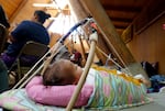 An 8-month old baby from Warm Springs in a traditional baby board is part of a ground crew making the trip, in the Celilo longhouse near The Dalles, Ore., on July 18, 2023.