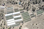 A cannabis grow is seen on Sept. 2, 2021, in an aerial photo taken by the Deschutes County Sheriff's Office  in the community of Alfalfa, Ore.