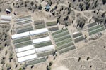 A cannabis grow is seen on Sept. 2, 2021, in an aerial photo taken by the Deschutes County Sheriff's Office in the community of Alfalfa, Ore.