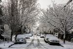 The snow begins to thaw in Portland neighborhoods after the storm, Feb. 21, 2018.