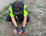 A Roseburg police officer gathers syringes in a public area.