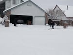 A scene from a neighborhood in Gresham, Oregon.