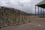 Irrigation faucets in the Klamath. Drip irrigation helps conserve water but requires more energy than flood irrigation. 