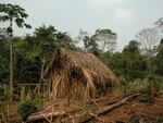 The man built dozens of straw and thatch huts over the years, including this one.