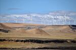 The Shepherds Flat Wind Farm in Oregon.