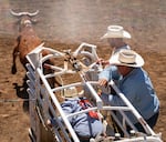 A steer is released from the chute during the steer wrestling event.