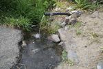 This natural spring on the Warm Springs reservation is a drinking water source for many tribal members. An elder allowed OPB to photograph it during a boil water notice, June 6, 2019.
