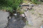 This natural spring on the Warm Springs reservation is a drinking water source for many tribal members. An elder allowed OPB to photograph it during a boil water notice, June 6, 2019.