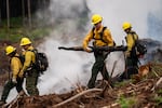 A wildland firefighting trainee carries away a charred log as he works with others to put out a controlled burn during the annual five-day Mid-Willamette Valley Interagency Wildland Fire School, hosted by the Oregon Department of Forestry, in Sweet Home, Ore., on June 26, 2026. About 200 wildland firefighters and instructors participated in the training.