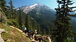 Mount Jefferson, Oregon.