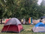 Colorful tents are pitched in a grassy city park. In the background, a flag reads "Black Lives Matter," next to a rainbow pride flag.
