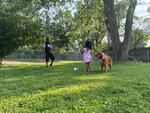 Samuel plays soccer with his 5-year-old daughter in their backyard on July 3, 2025.