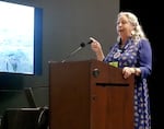 Conner, wearing a blue dress and a beaded necklace, speaks at a podium as she points toward a visual aid that displays the landscape of the Blue Mountains.