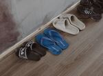 Wang Jingyu and his girlfriend left Gao Zhi's home in the Netherlands abruptly in August 2023, leaving behind various possessions, including house slippers.